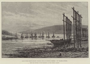Barche da pesca di Loch Fyne in attesa di una brezza serale da Walter Severn